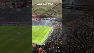 Quiet Minute Eintracht Frankfurt vs Slavia Prag ⚽️sge eintrachtfrankfurt nurdiesge slavia [upl. by Claude318]