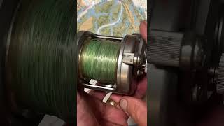 Daiwa Saltist 40H fishing reel of the day fish reel [upl. by Tu]