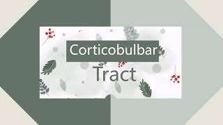 pyramidal tract part 2 corticobulbar tract [upl. by Calvina]