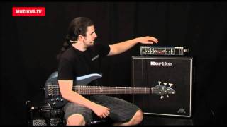 Hartke HA3500 a AK 410 Marek Haruštiak [upl. by Nirb706]