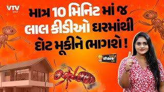 માત્ર 10 મિનિટમાં જ લાલ કીડીઓ ઘરમાંથી દોટ મૂકીને ભાગશે  Chalo Share Karu [upl. by Keyser238]