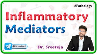 3  Inflammatory Mediators  Pathology USMLE Step 1 [upl. by Ekrub]