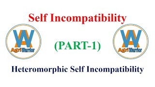 Heteromorphic Self IncompatibilitySelf Incompatibility PART1 [upl. by Ron558]