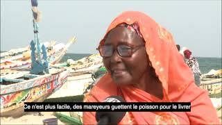 DESAGRÉMENTS DES USINES DE FARINE DE POISSONS AU SENEGAL ET EN MAURITANIEQUI EST RESPONSABLE [upl. by Enitnatsnoc]