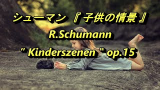 シューマン『子供の情景』 RSchumann ： Kinderszenen Op5 [upl. by Proudlove]