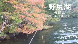 Lake Nojiri Nagano Japan OCT 31 amp NOV 1 2024 Bassfishig [upl. by Adirem170]