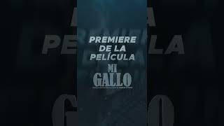 ¡La cuenta regresiva ha comenzado 🎉 TVP te lleva hasta la premiere de quotMi Galloquot [upl. by Asirehc806]