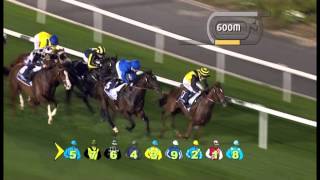 10012013 Meydan DubaiUAE 5Race Al Rashidiya Trial  1800 m [upl. by Ynad289]