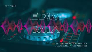 Music Mix 2024 🎧 EDM Remixes of Popular Songs 🎧 EDM Music Mix ​ [upl. by Olifoet232]