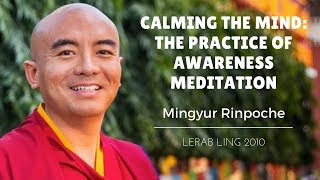 Mingyur Rinpoche  Calming the Mind The Practice of Awareness Meditation [upl. by Bazluke]