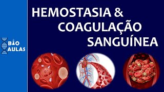 Hemostasia e Coagulação Sanguínea Atuação das Plaquetas e a Cascata de Coagulação [upl. by Phox426]