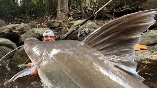 PEGAMOS O MAIOR PEIXE DE COURO DAS AMÉRICAS [upl. by Nniuq]