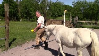 Homemade Permanent Horse Paddock Fencing [upl. by Nylrahs]