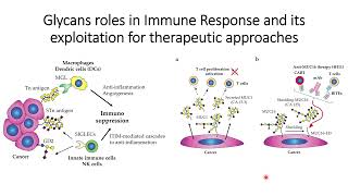 Cancer Glycans role in Immunosuppression and Therapeutic Approaches Code 467 [upl. by Idurt]