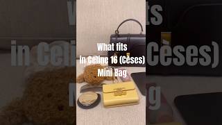 What fits in CELINE 16 Cèses Mini Bag👜✨ celine celine16 セリーヌ セーズ ミニサイズ 容量 [upl. by Merla]