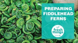 Fresh Things Preparing Fiddlehead Ferns [upl. by Assille]