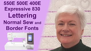 Janome 550E 500E and 400E  Elna Expressive 830  Hidden Gems [upl. by Aneertak]