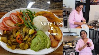 How to make Curry Tripe And Bean Jamaican Style [upl. by Caressa679]