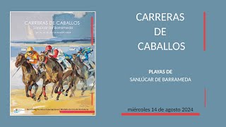 Carreras de Caballos 2024  Sanlúcar de Barrameda  miércoles 14 de agosto  Costa Noroeste TV [upl. by Hogue]