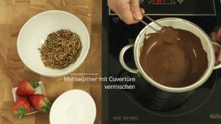 Insekten essen mit SnackInsects  Cooking with edible insects mealworms [upl. by Beitris239]