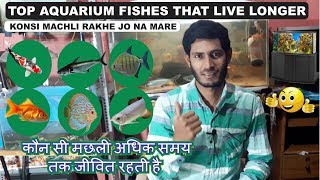 Aquarium Fishes that Live longer  Konsi Aquarium ki machli le Jo na Mare [upl. by Eenot]