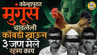 मुंगूस चावलेली कोंबडी खाऊन विषबाधा पण घातपाताचा संशय Kolhapur मधल्या मांढरे गावात काय घडलं [upl. by Shannan461]