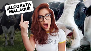 🐮GANADERIA EL PARAISO ESTA DEJANDO BUENAS GANANCIAS 40💰 ¿Es seguro invertir aquí [upl. by Annaej]