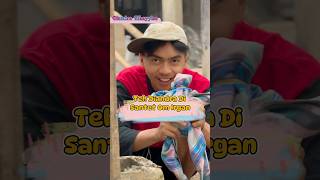 Teh Diandra Di Sant3t shorts [upl. by Trent308]