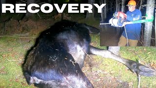 Late Night Moose Recovery with Portable Capstan Winch [upl. by Anelrad951]