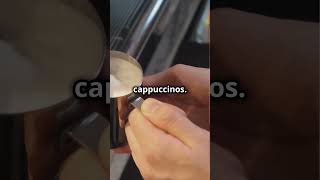 Milk Frother Vs Steam Wand coffee milkfrother steamwand shorts shortsfeed howto [upl. by Kcira]