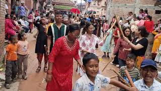 Gai Jatra 2081  Gai Jatra Bhaktapur  Gaijatra Festival  Saparu [upl. by Odelle]