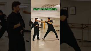 NON TELEGRAPHIC ATTACK jeetkunedo brucelee martialarts [upl. by Eveivaneg]