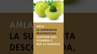 👀 Descubre los beneficios del Amla para la Salud Visual Más vitamina C que la naranja 🍊🌿 [upl. by Orsay]