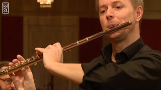 Wiener Symphoniker  Wolfgang Amadeus Mozart Flötenkonzert Nr 1 GDur KV 285c KV 313 1 Satz [upl. by Dane]