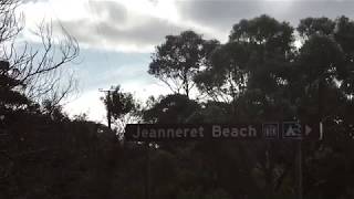 Surfing at binalong bay [upl. by Marashio823]