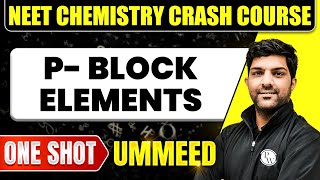 P BLOCK ELEMENTS in 1 Shot  All Concepts Tricks amp PYQs  NEET Crash Course  Ummeed [upl. by Ymled]