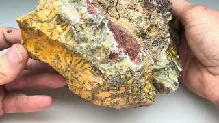 Slabbing Australian Dendritic Opal [upl. by Sweatt]