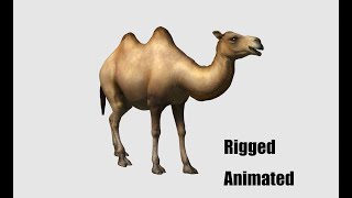 3D Animated Camel [upl. by Talbott]