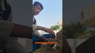 Natural water filter experiment trending ytshorts ytshortsindia viralshort ManikantaVusakoila [upl. by Harpole97]