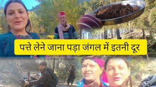 पत्ते लेने भी कितना दूर जाना पड़ता है 🥲❤️ Vrinda Dimri  uttarakhand pahadilifestyle pahadi [upl. by Eladnwahs48]