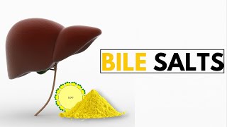 The Shocking Truth About Bile Salts and Your Digestive Health [upl. by Aneele]