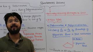 Spontaneous lesions Mutations CSIR NEET DBT Molecular Biology [upl. by Champaigne]