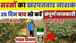 सरसों की फसल में खरपतवार नियंत्रण  उगने के बाद मे बेस्ट कंट्रोल  Weed control in musturd🔴tag autor [upl. by Eisac775]