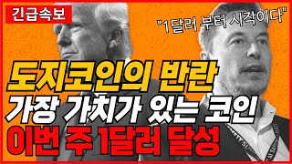 도지코인의 반란 가장 가치가 있는 코인 이번 주 1달러 달성 [upl. by Tabbatha]