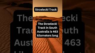 Strzelecki Track [upl. by Garbe]