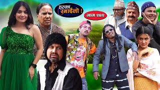 Halka Ramailo  हल्का रमाईलो  Episode 242  04 August  2024  Balchhi Dhurbe  Nepali Comedy [upl. by Ellenehc123]