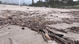 Volleyball court erosion shrinks East Beach [upl. by Leihcar153]