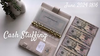 Cash Envelope Stuffing  June 2024 🩵 [upl. by Stubstad]