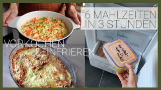 Nur 3 Stunden kochen für eine Woche  Freezer Meals im Test [upl. by Lovering]