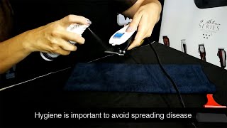 How To Clean amp Maintain Your Hair Clipper The Wahl Way [upl. by Gladine]